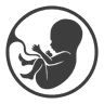 Embryo icon
