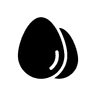 Oocyte icon